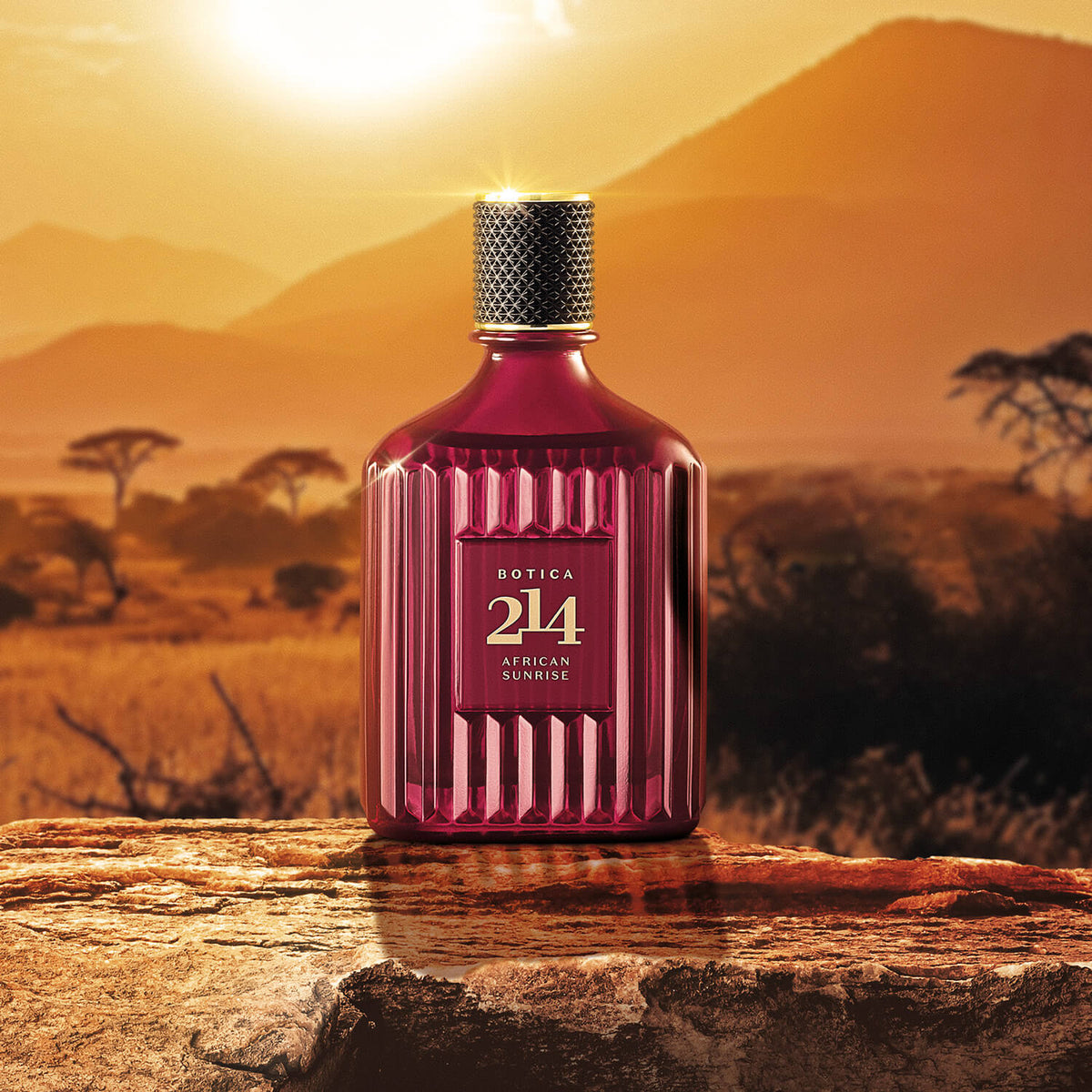 compra en línea Perfume de hombre African Sunrise 